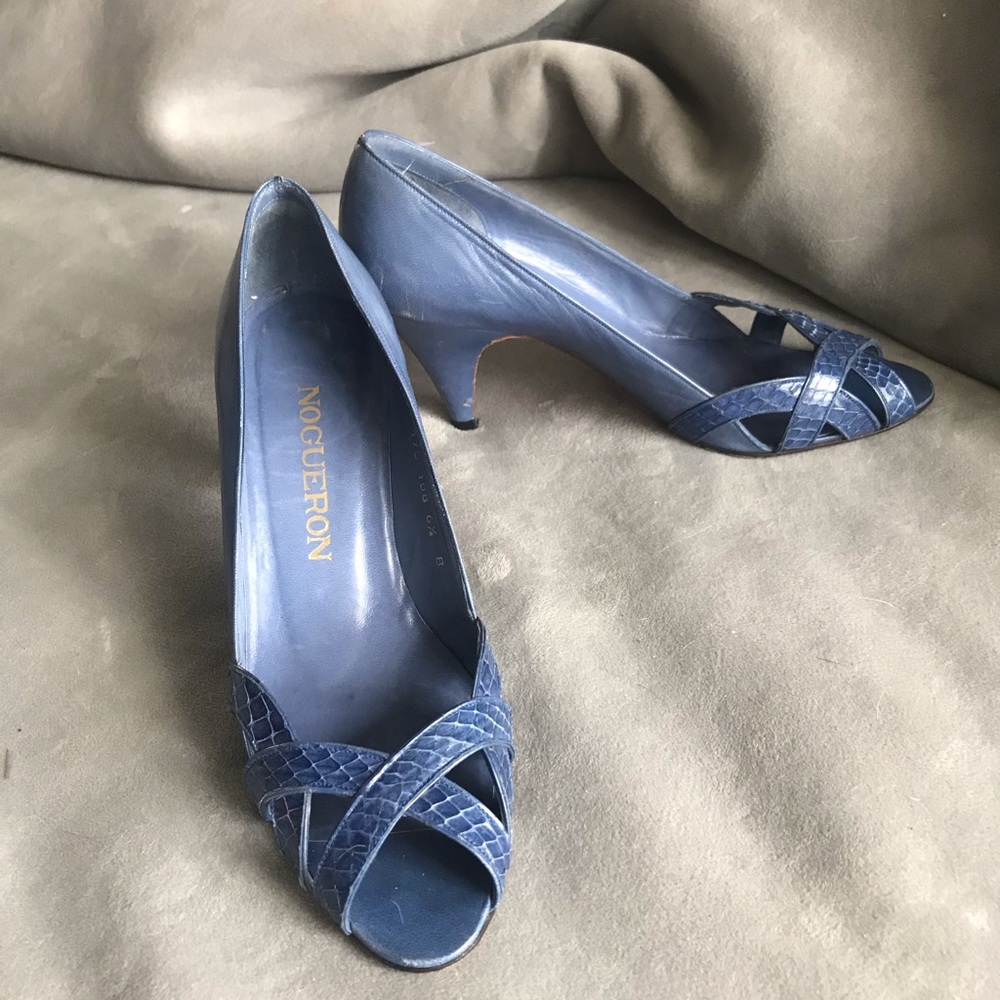 Nogueron Periwinkle Vintage pumps